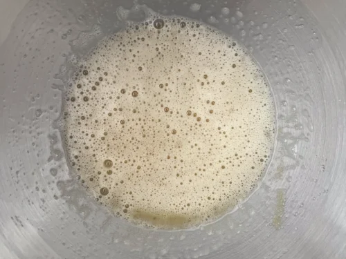 IMG 9222 1536x2048 2